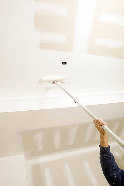 Best Mold Damage Restoration  in North Vernon, IN